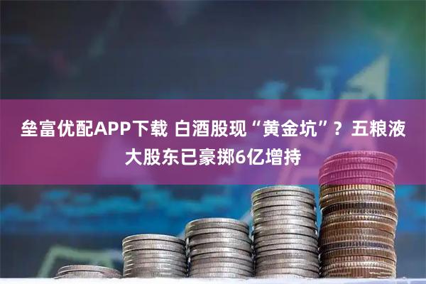 垒富优配APP下载 白酒股现“黄金坑”？五粮液大股东已豪掷6亿增持